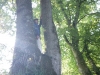 photo Hugo dans arbre 2