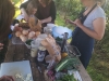 2023-05-27 Atelier familles -Sainte Suzanne (23)